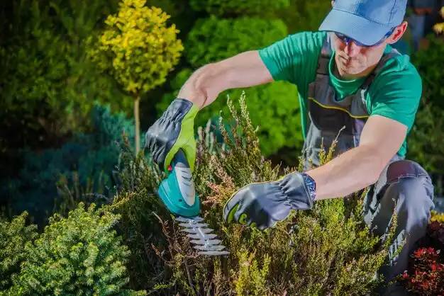 landscaping services St. George